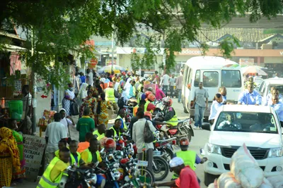 DSC_7774 (Large).JPG